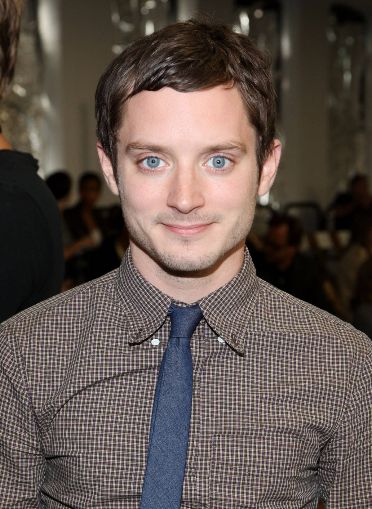 Elijah Wood In Brown Checkered Long Sleeve With Necktie Wallpaper