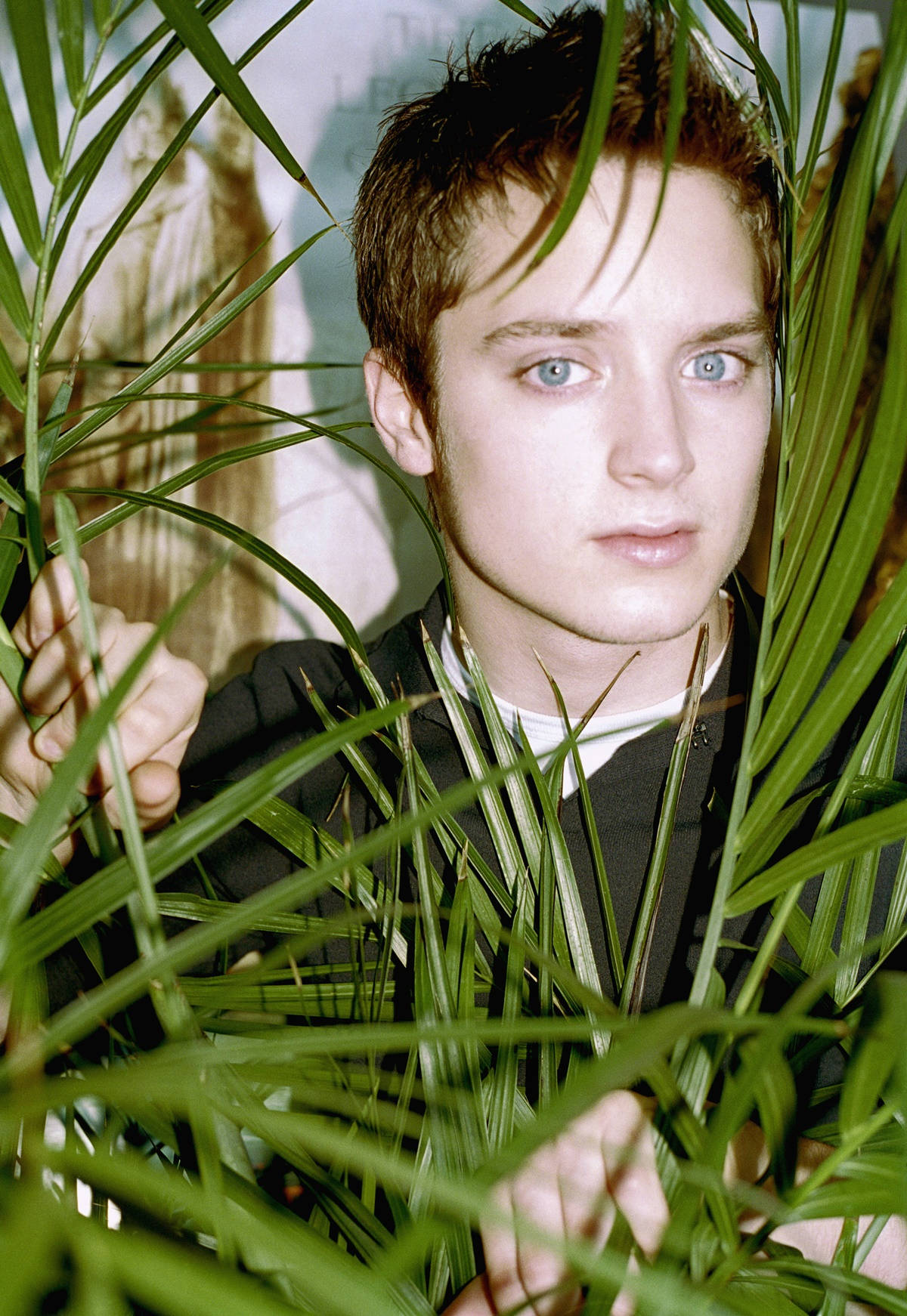 Elijah Wood Palm Leaves Wallpaper