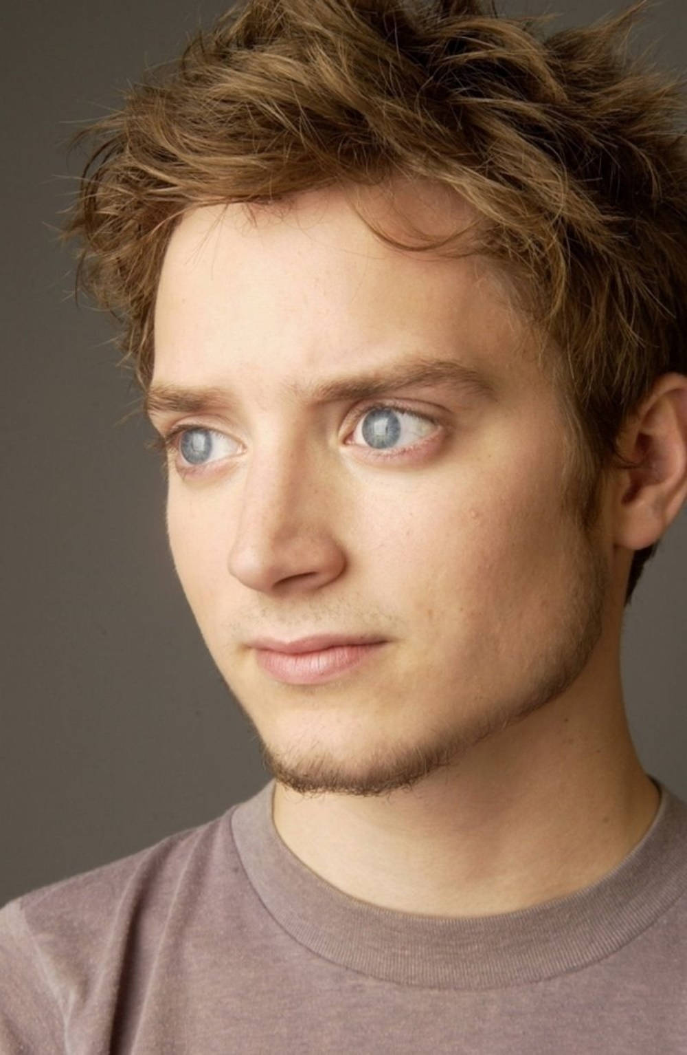 Elijah Wood With His Brown Curls Wallpaper