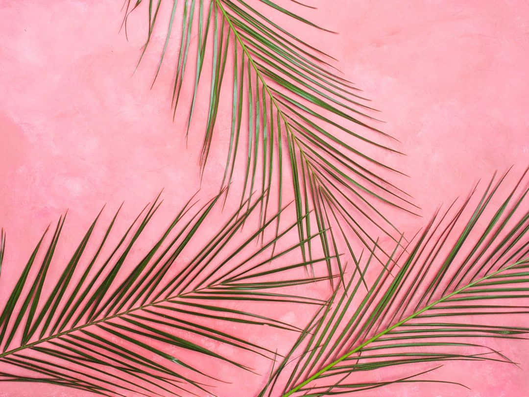 Emanate Tranquility With This Pastel Pink Aesthetic Computer Wallpaper. Wallpaper