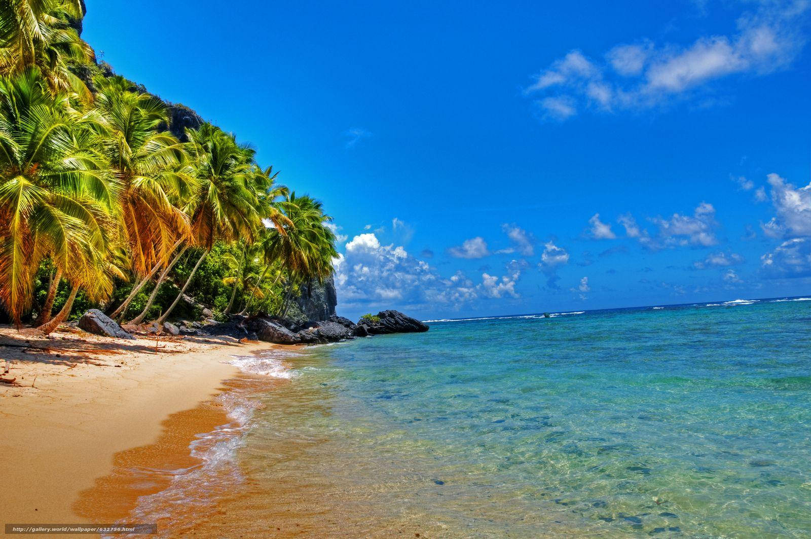 Empty Dominican Republic Beach Wallpaper