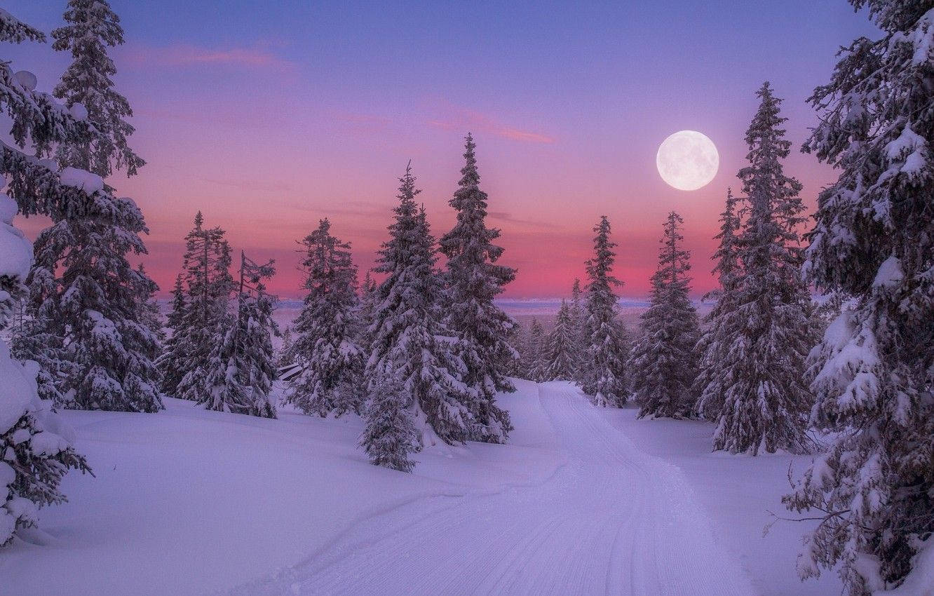 Enchanting Full Moon Over A Winter Wonderland Wallpaper