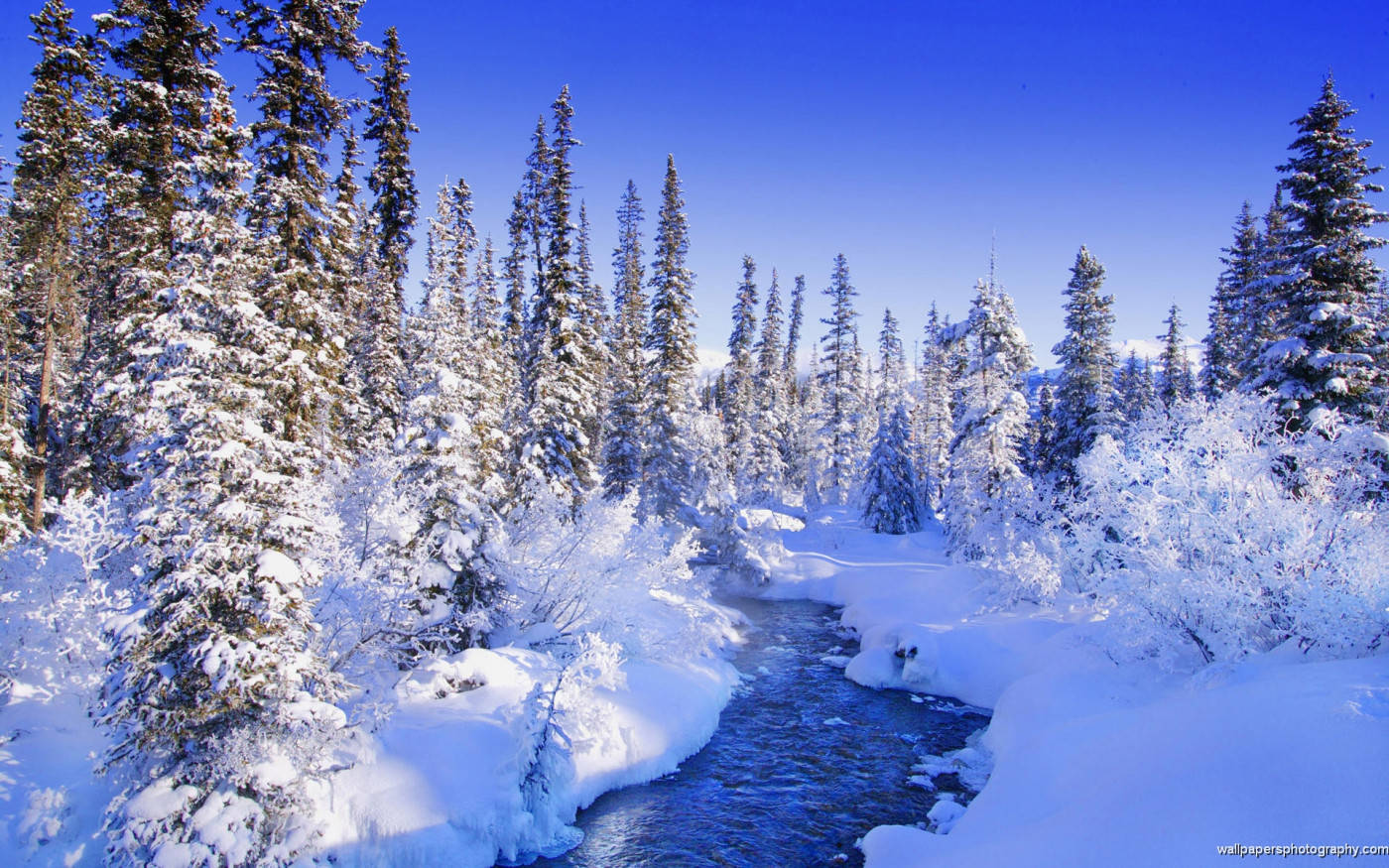 Enchanting Winter Wonderland Wallpaper