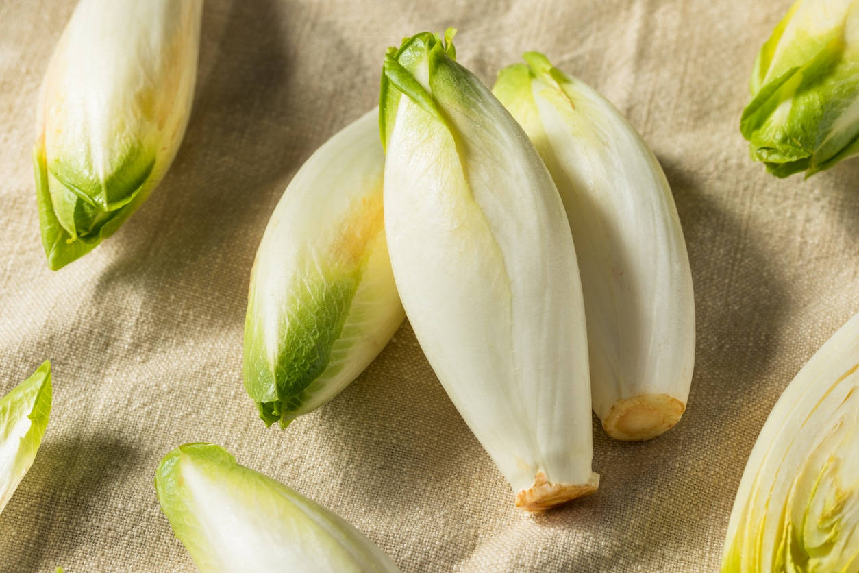 Endive Vegetable On Brown Canvas Cloth Wallpaper