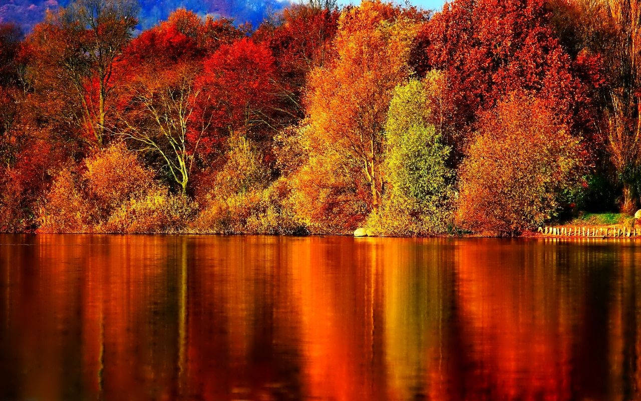 Enjoy A Autumn Stroll Around This Peaceful, Colorful Lake. Wallpaper