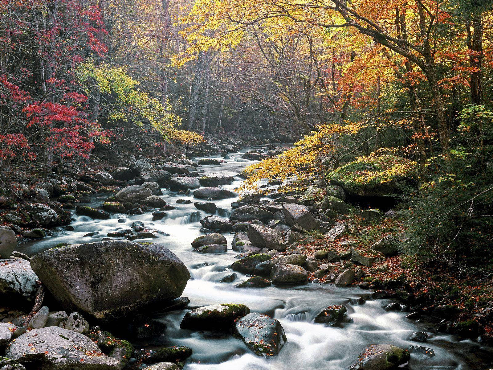 Enjoy A Tranquil View Of Sunset Over The Majestic Great Smoky Mountains. Wallpaper