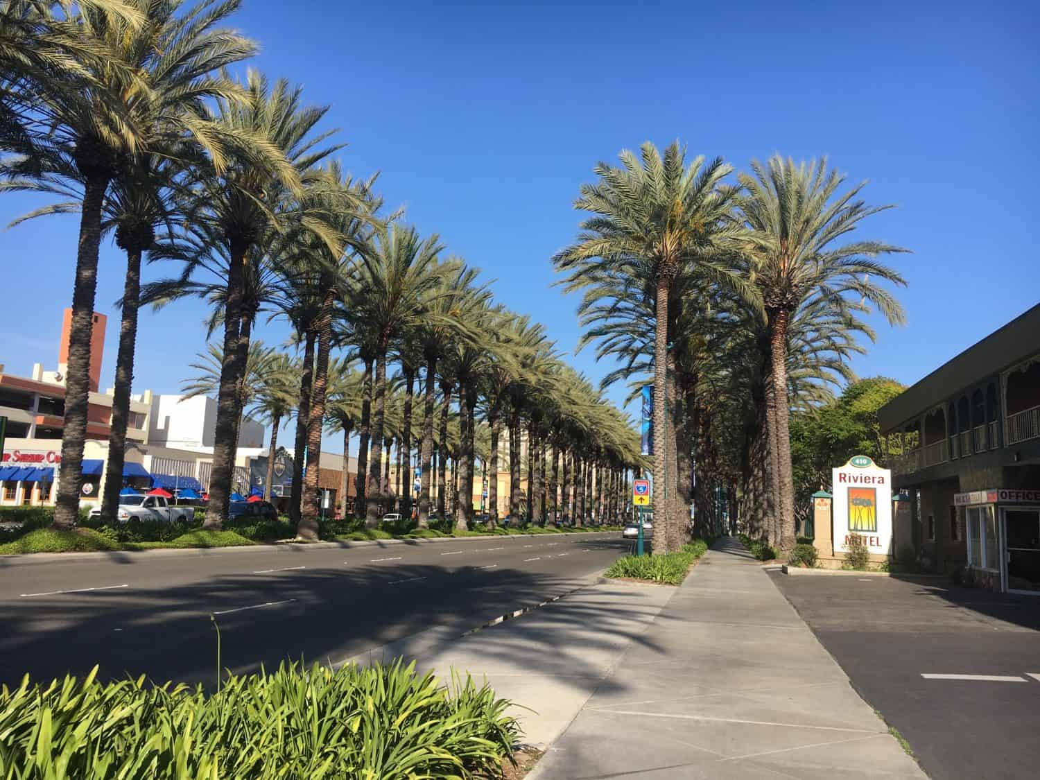 Enjoy The Bright Lights And Colorful Landscape Of Katella Avenue In Anaheim Wallpaper