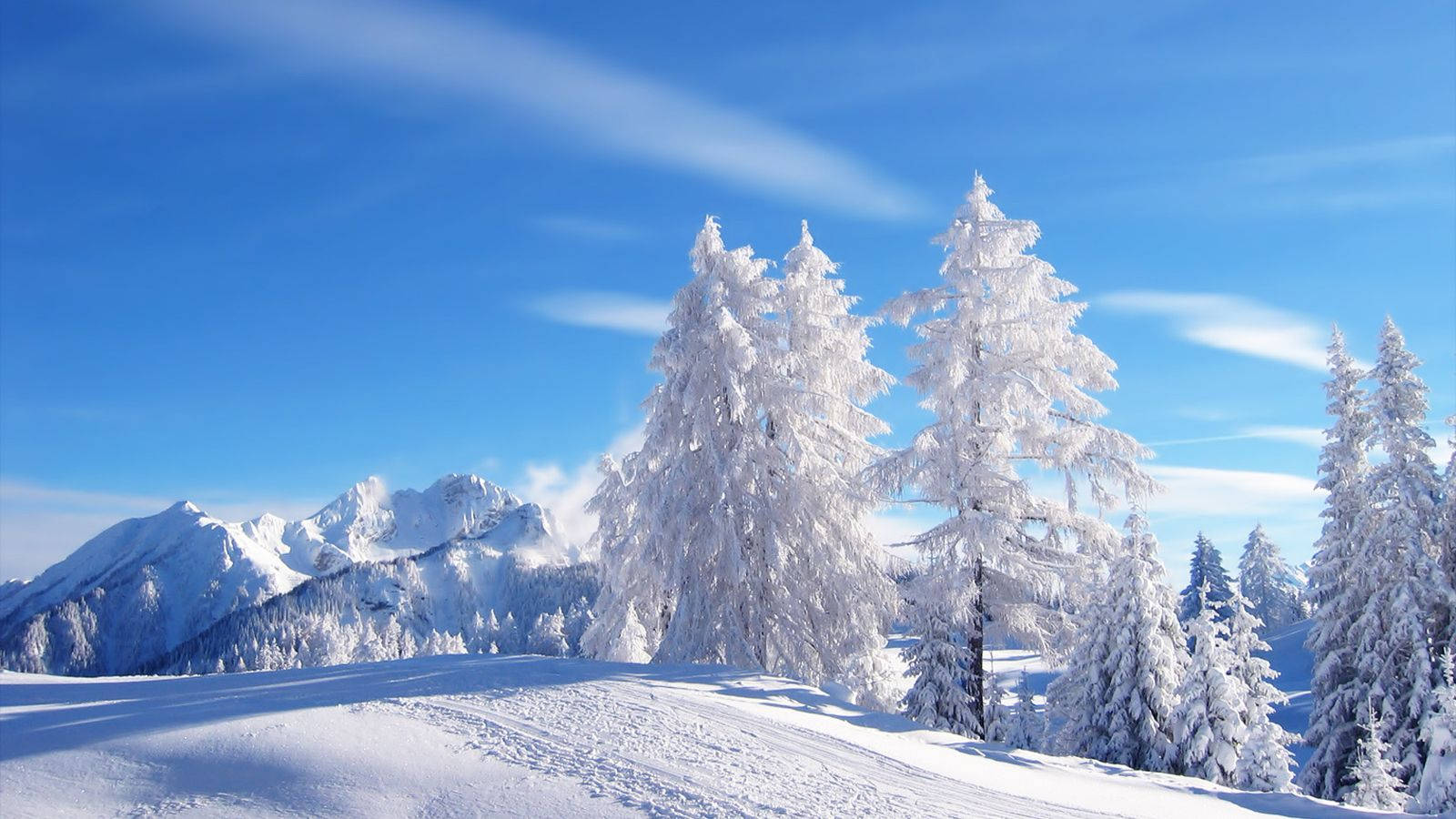 Enjoy The Enchanting Beauty Of Winter With Snow Desktop. Wallpaper