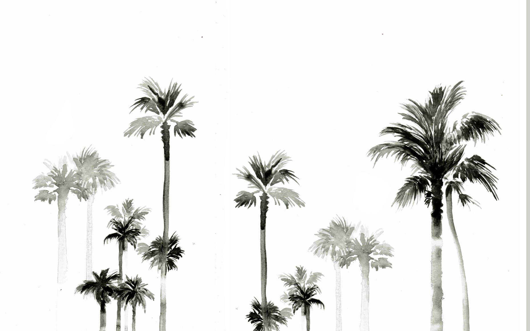 Enjoy The Sunny Vibes Of This Beautiful And Calming Aesthetic Palm Tree. Wallpaper