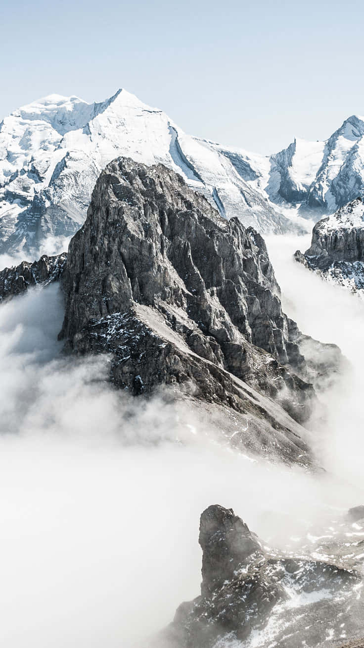 Enjoy Your Best Experience With The Iphone 7 Plus Wallpaper