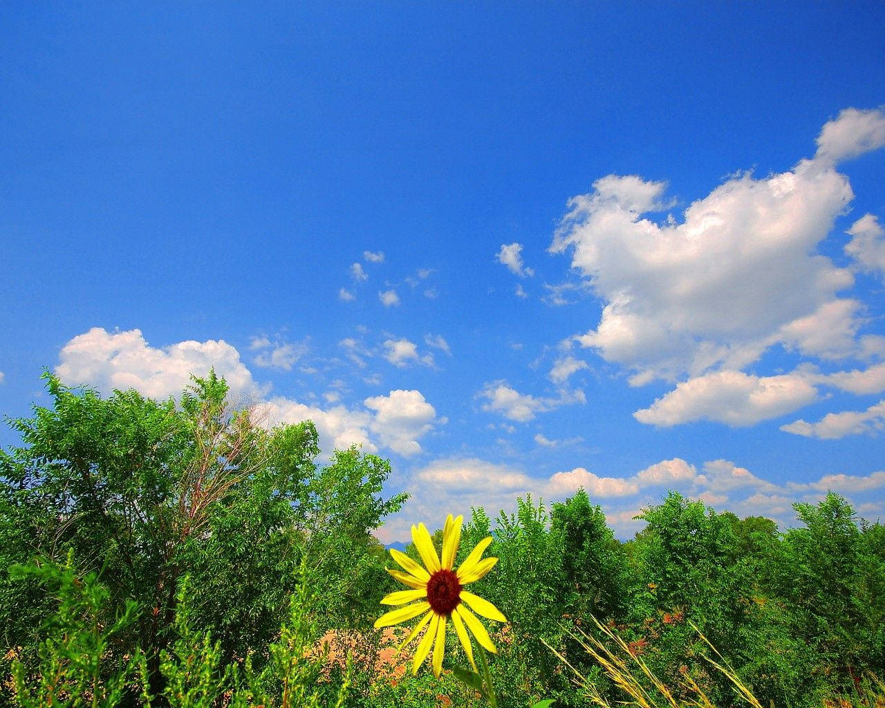 Enjoying Nature's Beauty In The Lush Green Landscape Wallpaper