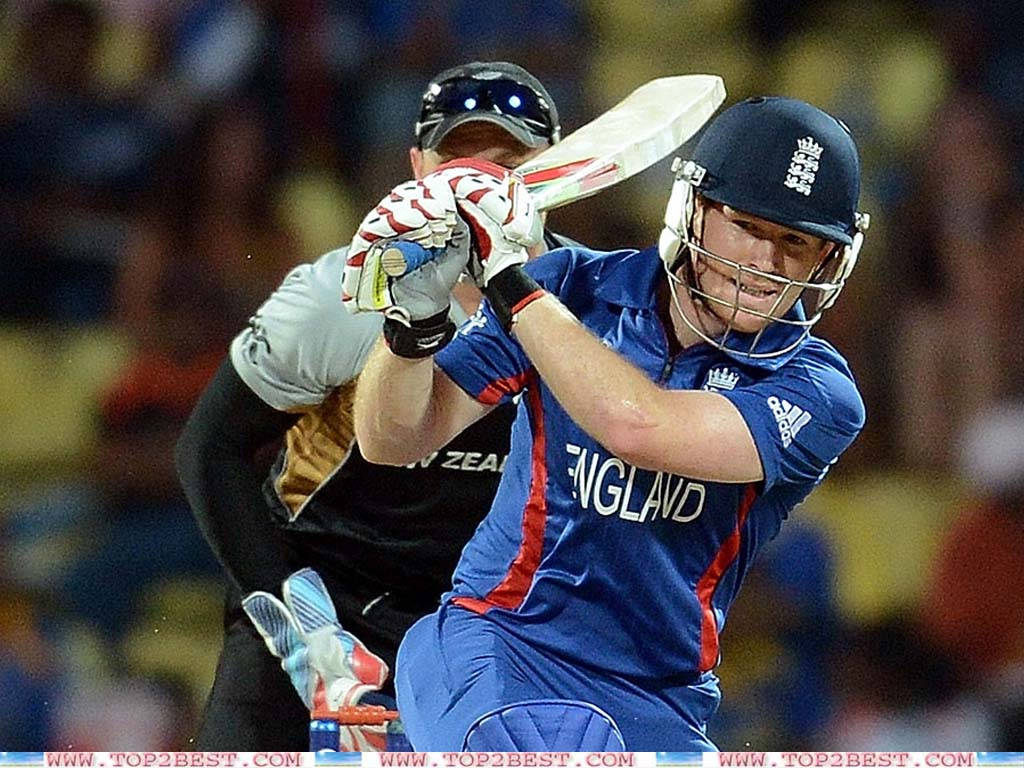 Eoin Morgan Blue Jersey Wallpaper