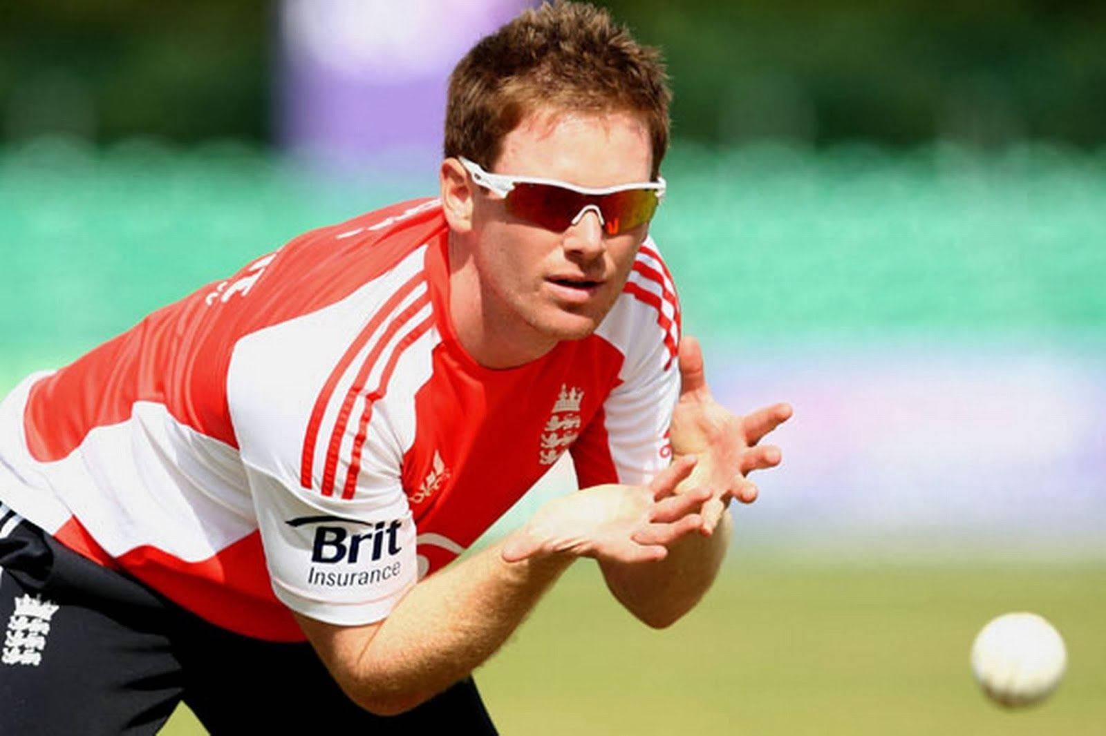 Eoin Morgan Wearing Sunglasses Wallpaper