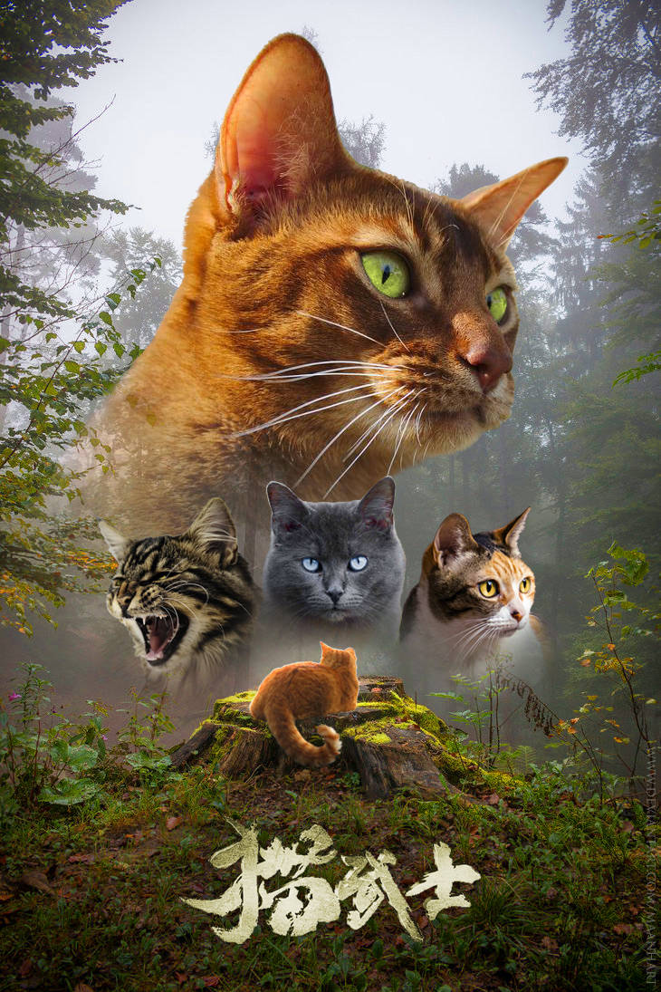 Epic Battle Scene From Warrior Cats Wallpaper