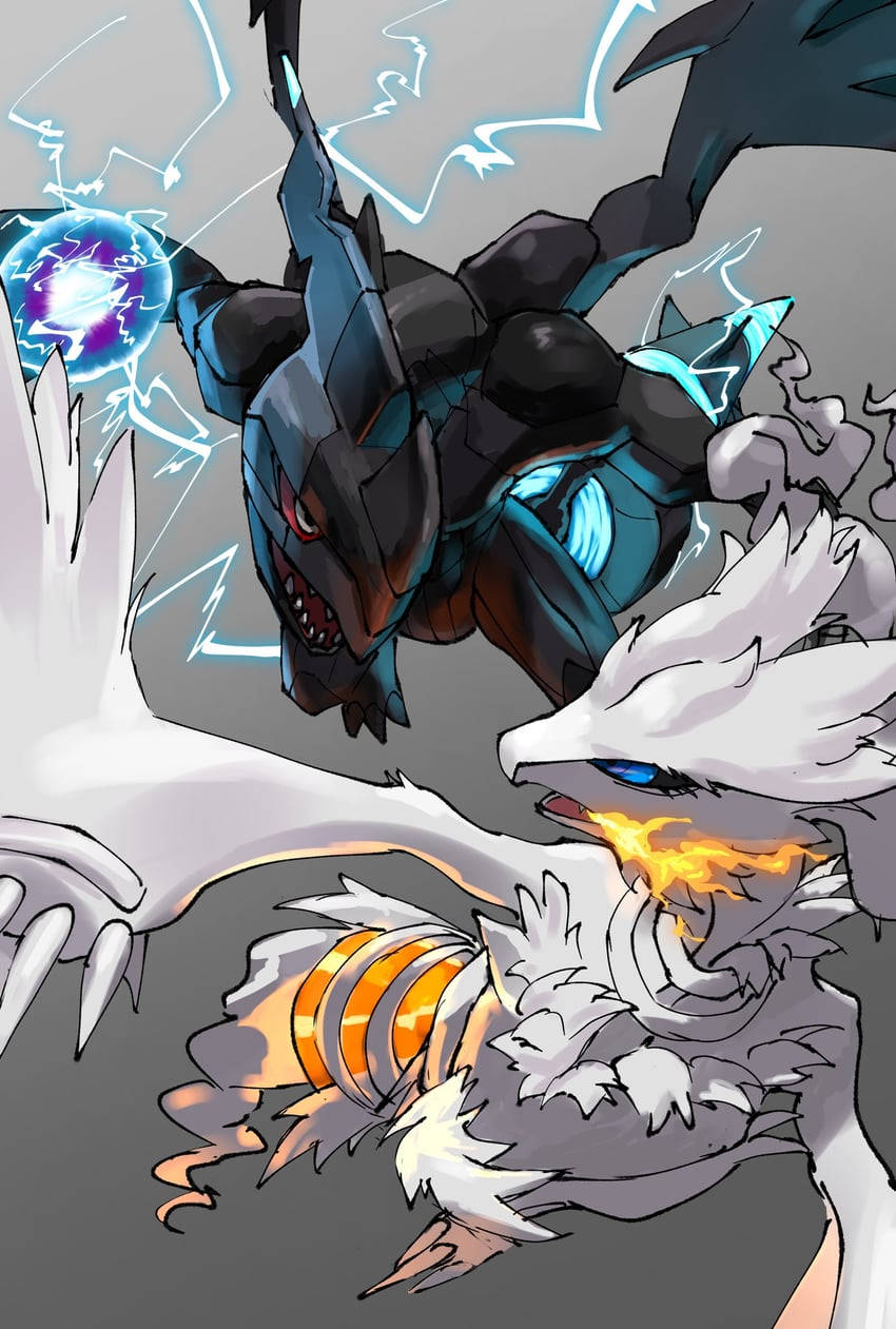 Epic Reshiram Fighting Zekrom Wallpaper