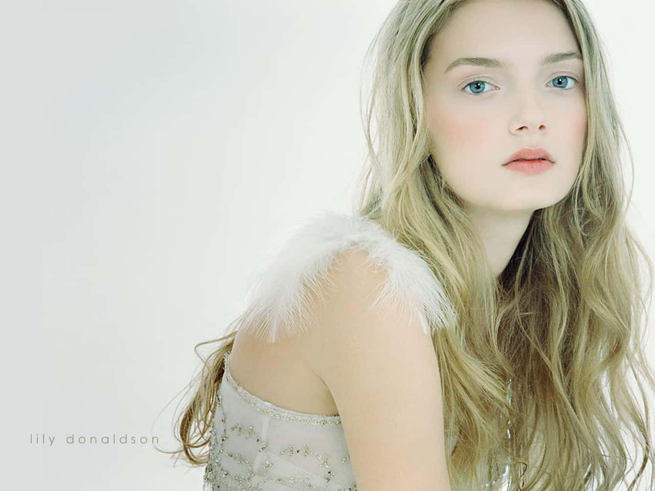 Ethereal Beauty Lily Donaldson Wallpaper