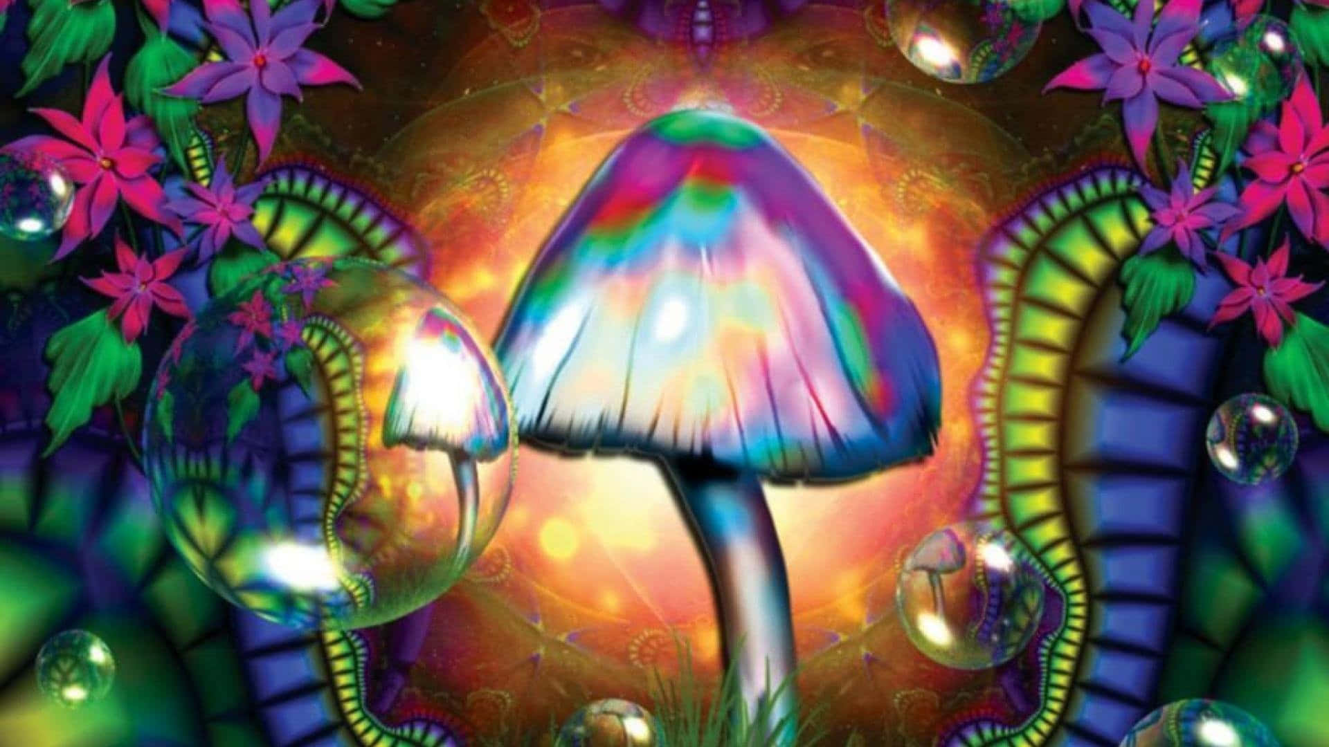 Experience The Magical World Of Trippy Mushroom Wallpaper