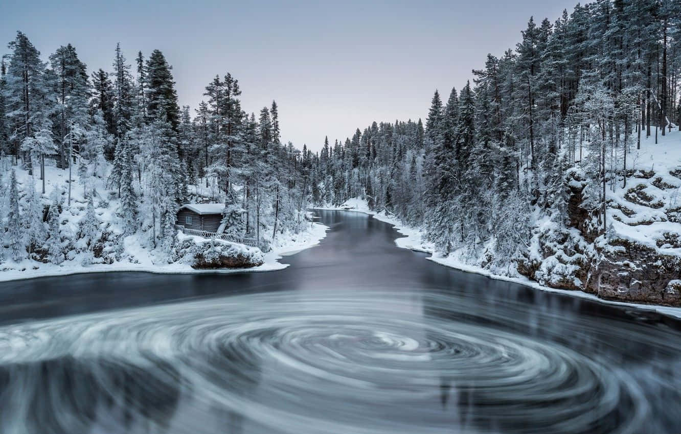 Explore The Magical Winter Forest In All Its Splendour Wallpaper
