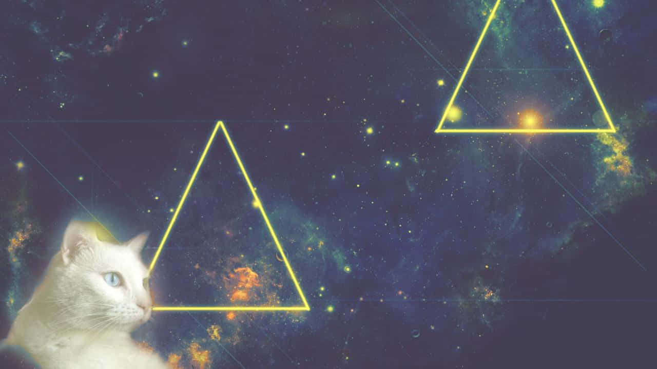 Explore The Stars With Galaxy Cat! Wallpaper