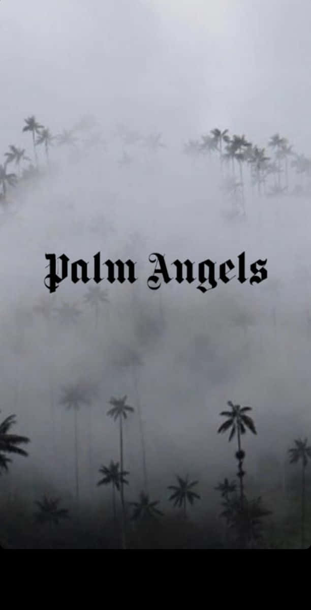 Express Yourself With Palm Angels Collections Of Street-style Inspired Clothing And Accessories Wallpaper