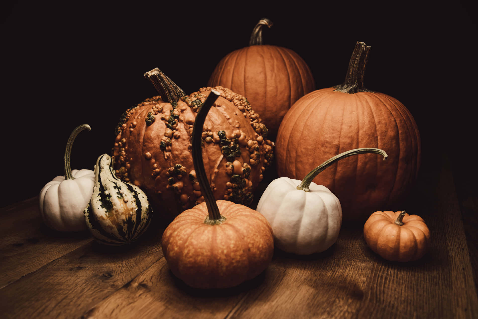 Fall Aesthetic Macbook Different Pumpkins Wallpaper