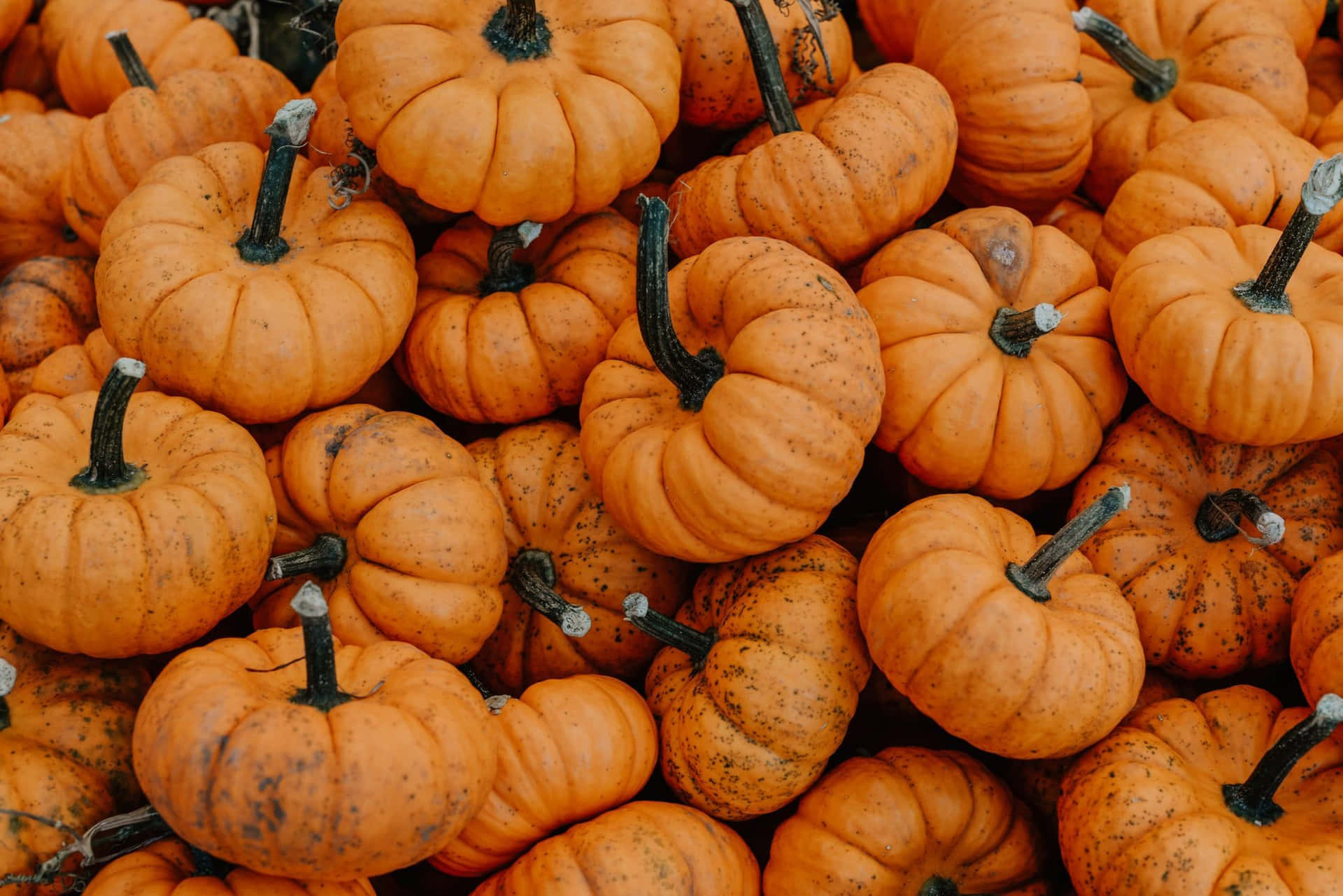 Fall Aesthetic Macbook Pumpkins Wallpaper