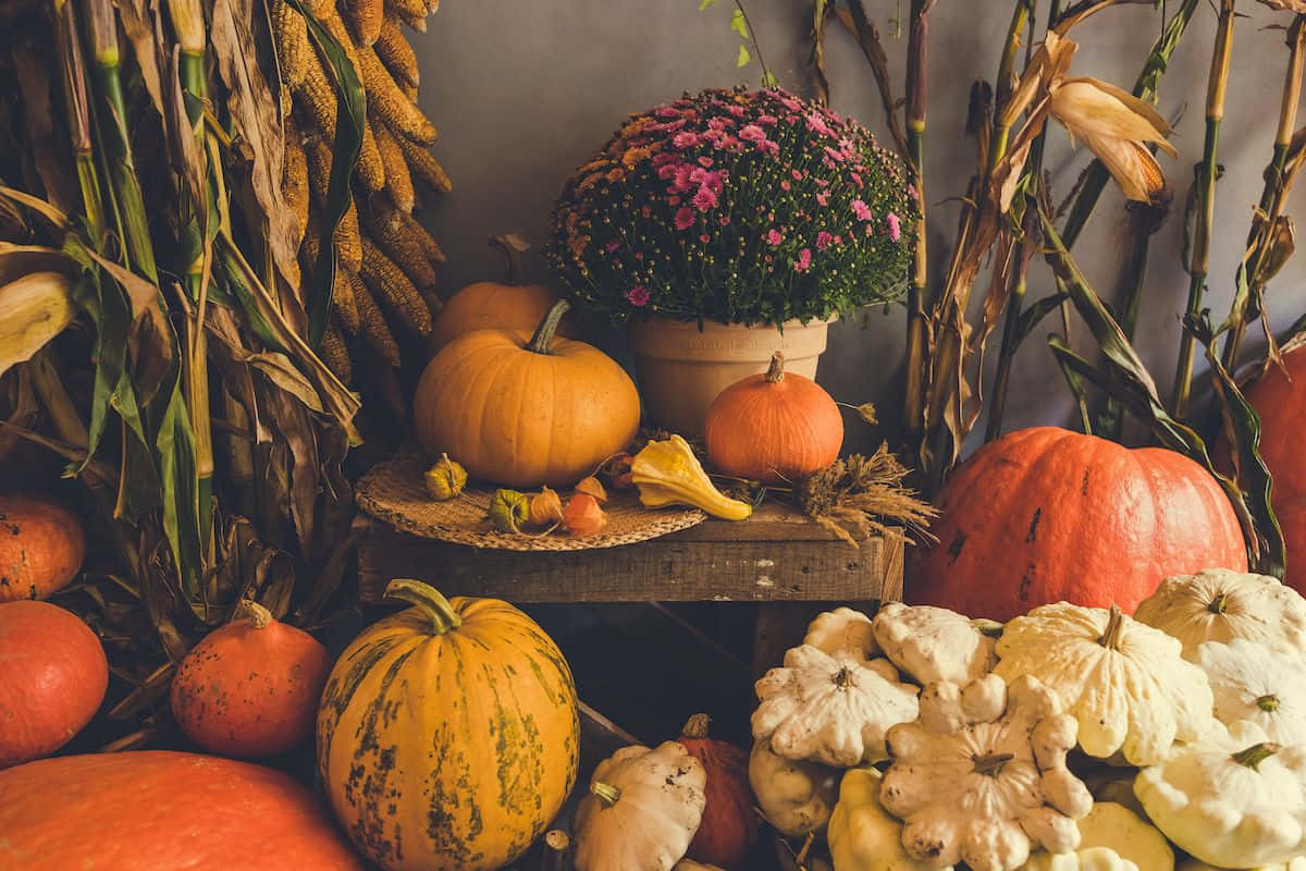 Fall Corner Table For Thanksgiving Wallpaper