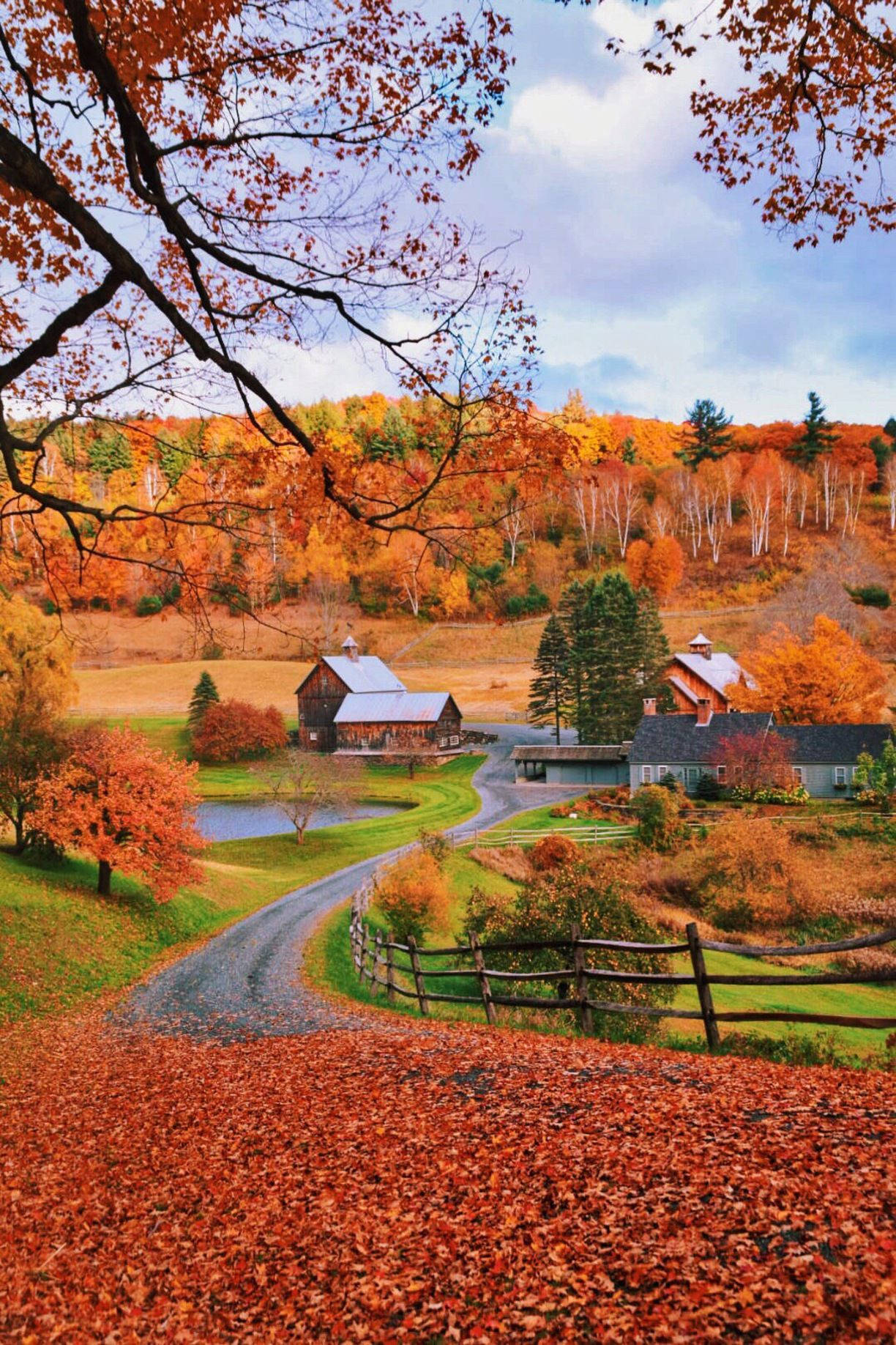 Fall Farm Orange Leaves Trees Wallpaper