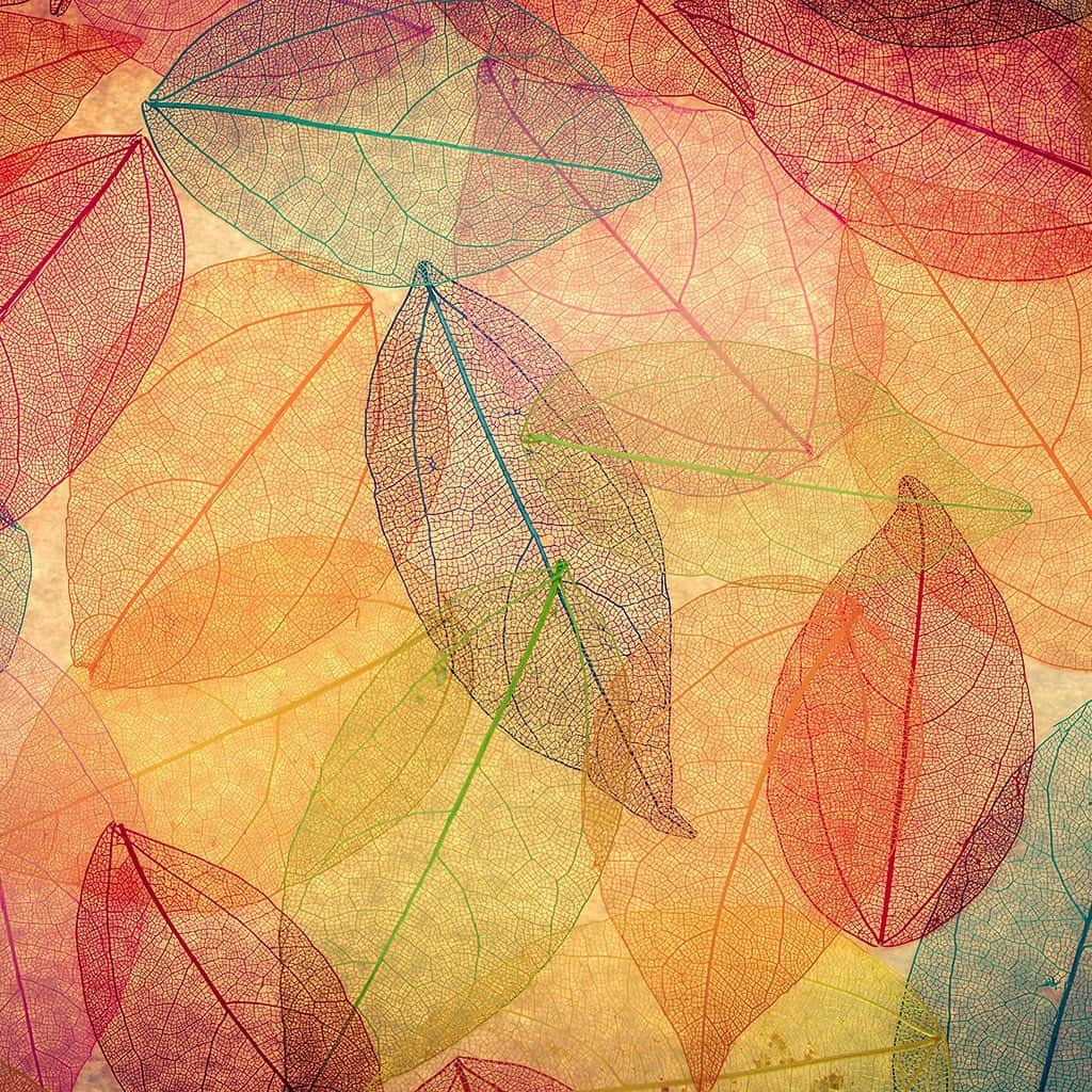 Fall Ipad Leaves Painting Wallpaper