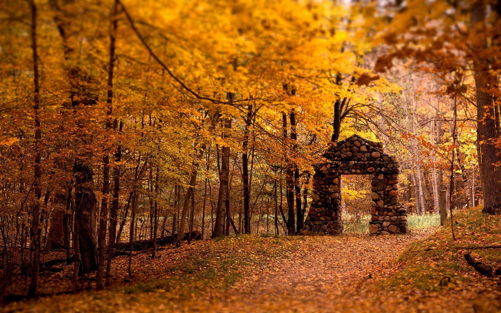 Fall Season Rock Arch Wallpaper