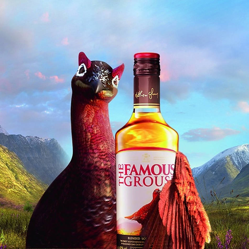 Famous Grouse Red Grouse Bird Wallpaper