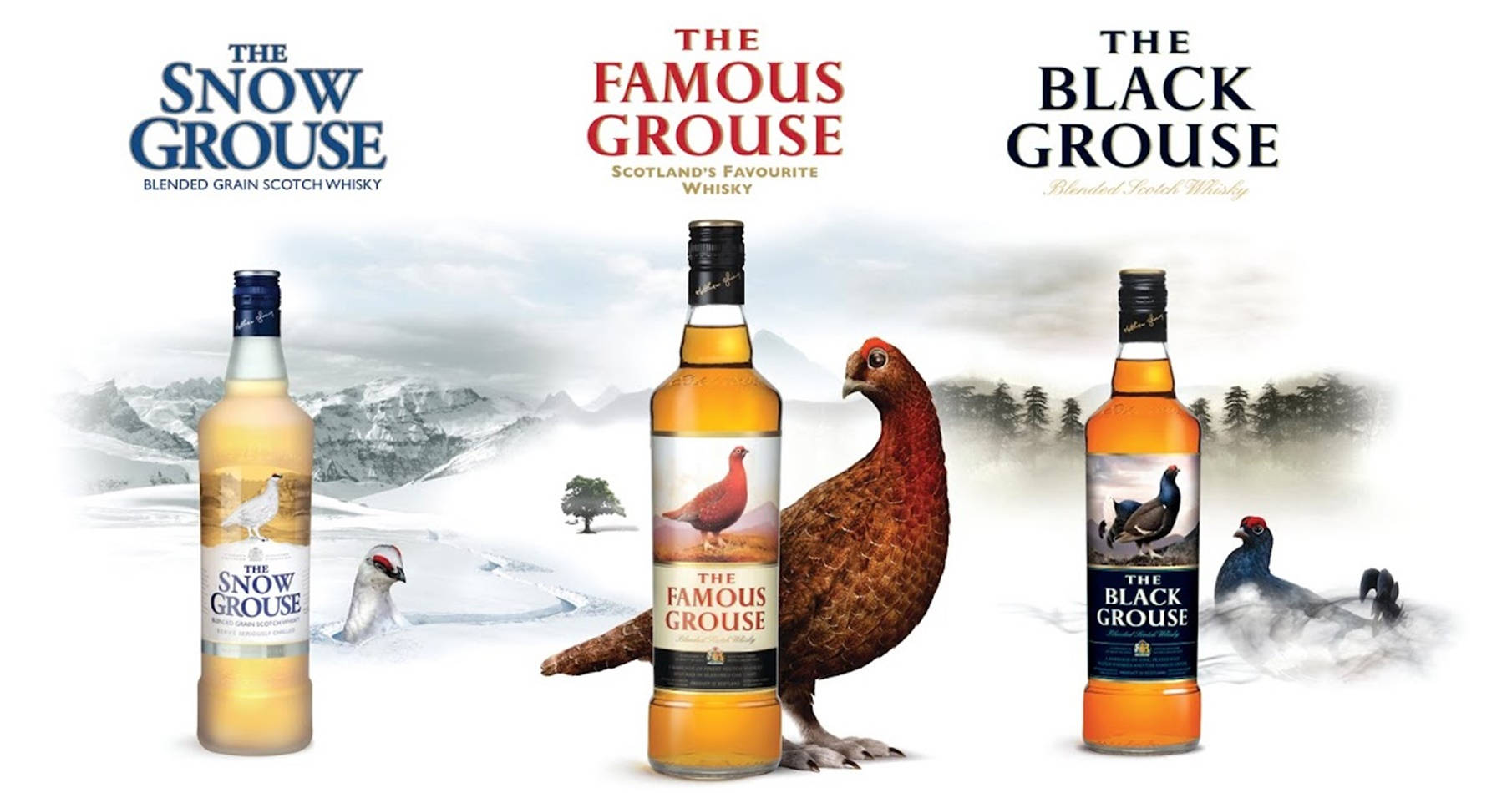 Famous Grouse Snow Grouse Black Grouse Wallpaper