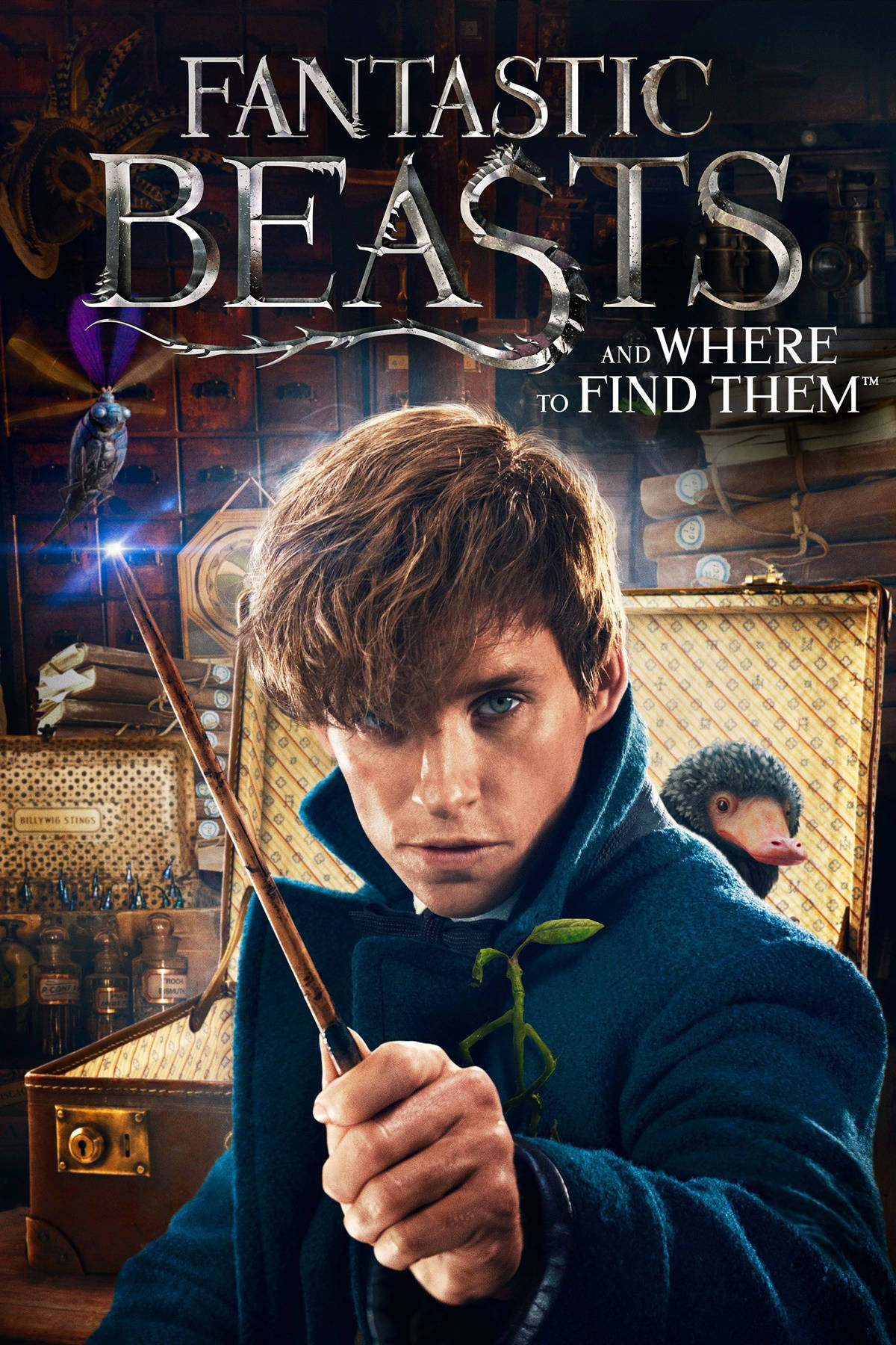 Fantastic Beasts And Where To Find Them Fantasy Movie Poster Wallpaper