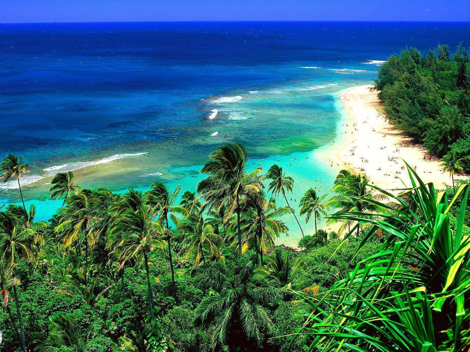 Feel The Beauty And Relaxation Of The Hawaiian Islands Wallpaper