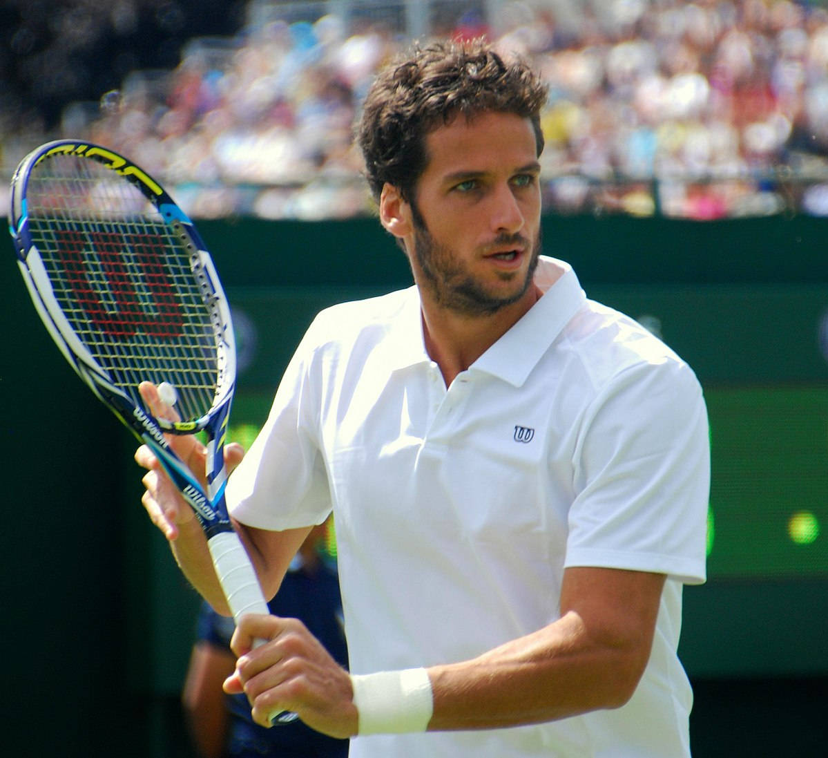 Feliciano Lopez Wimbledon 2014 Wallpaper