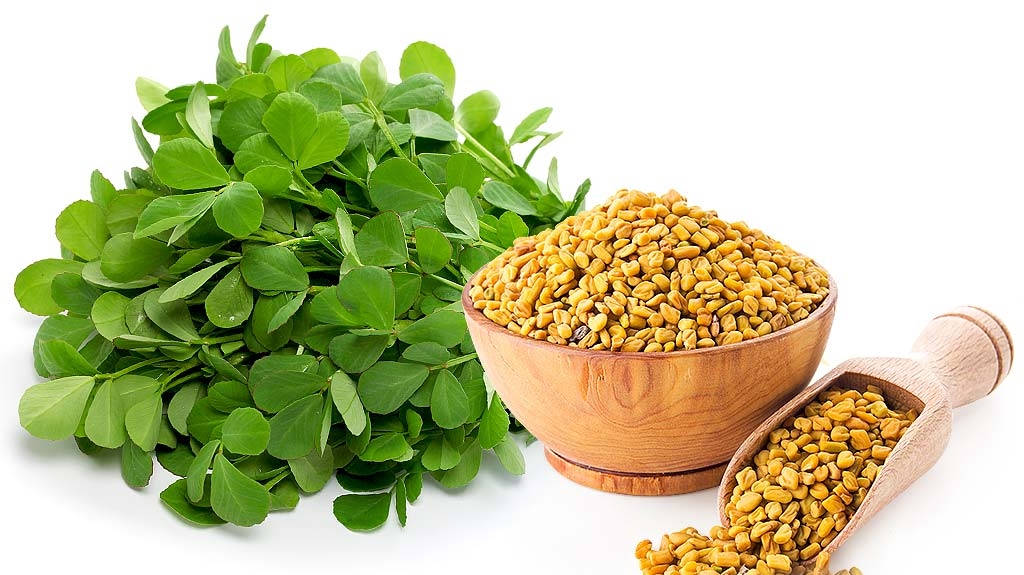 Fenugreek Seeds And Plants Wallpaper