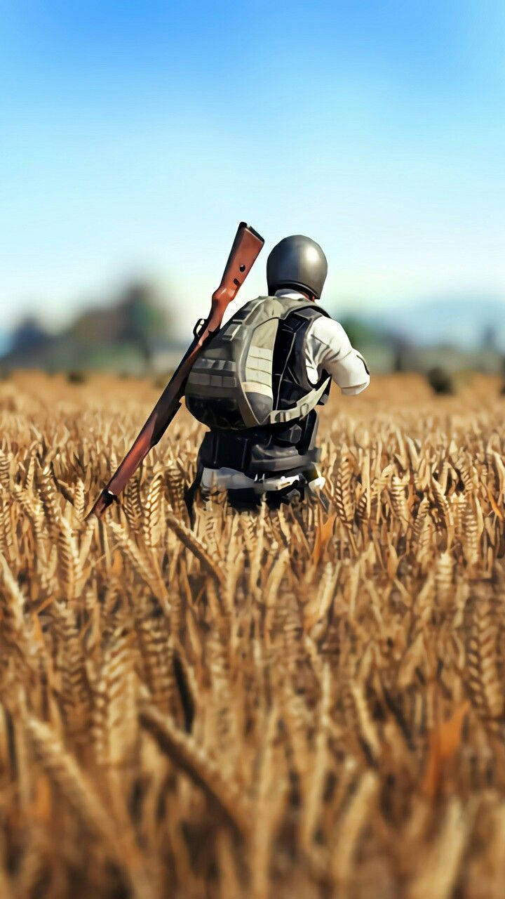 Fight For Conquer In The Jungles Of Pubg Wallpaper