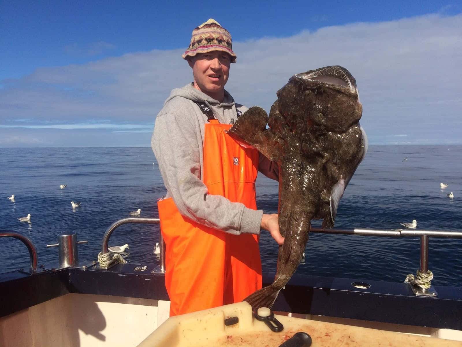 Fisherman Holding Large Monkfishat Sea.jpg Wallpaper