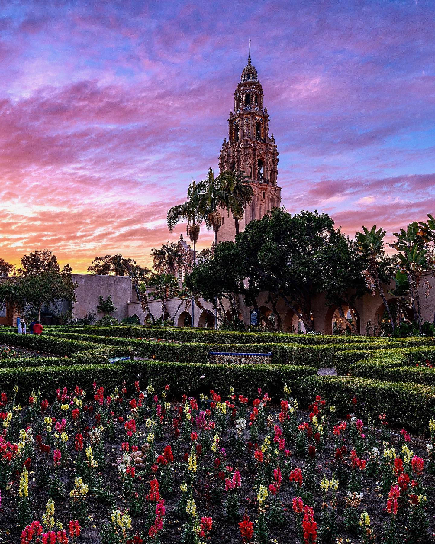 Flower Bed At Balboa Park Wallpaper