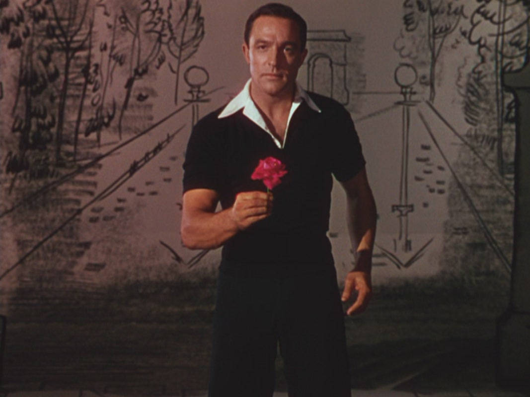 Flower Gene Kelly Wallpaper