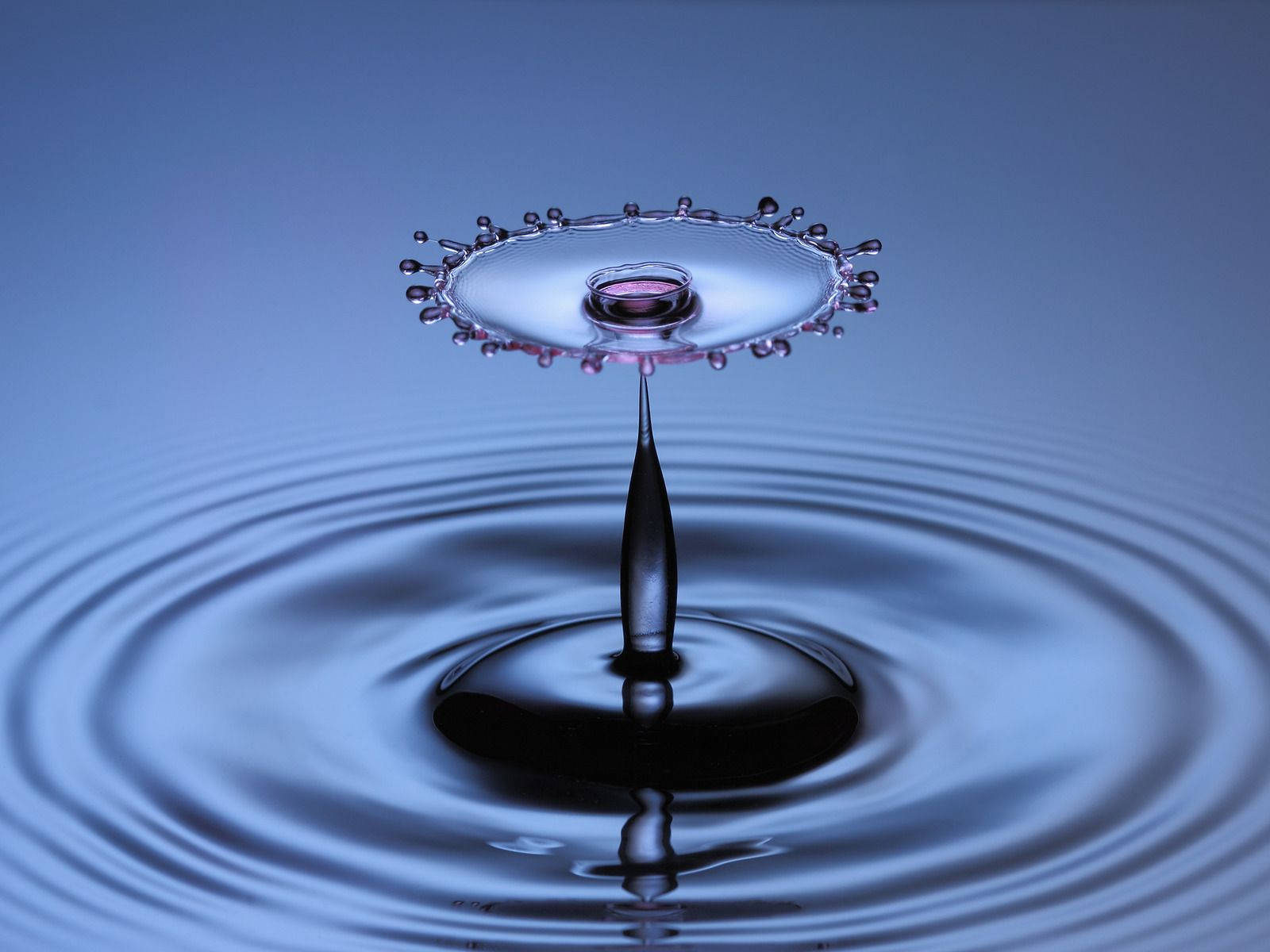 Flower-like Drop Over Rippling Water Wallpaper