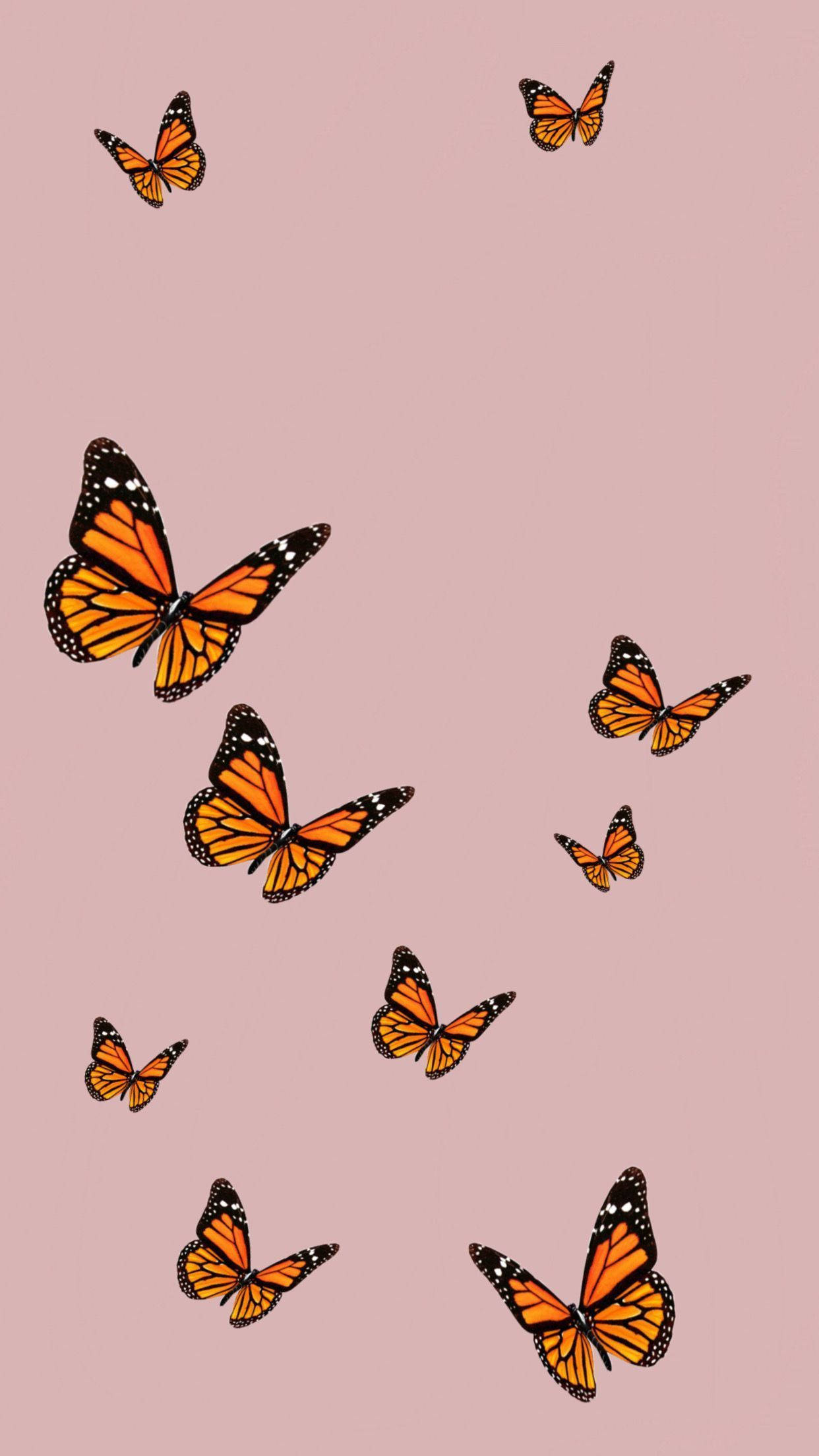 Fluttering Around Aesthetic Orange Butterfly Wallpaper