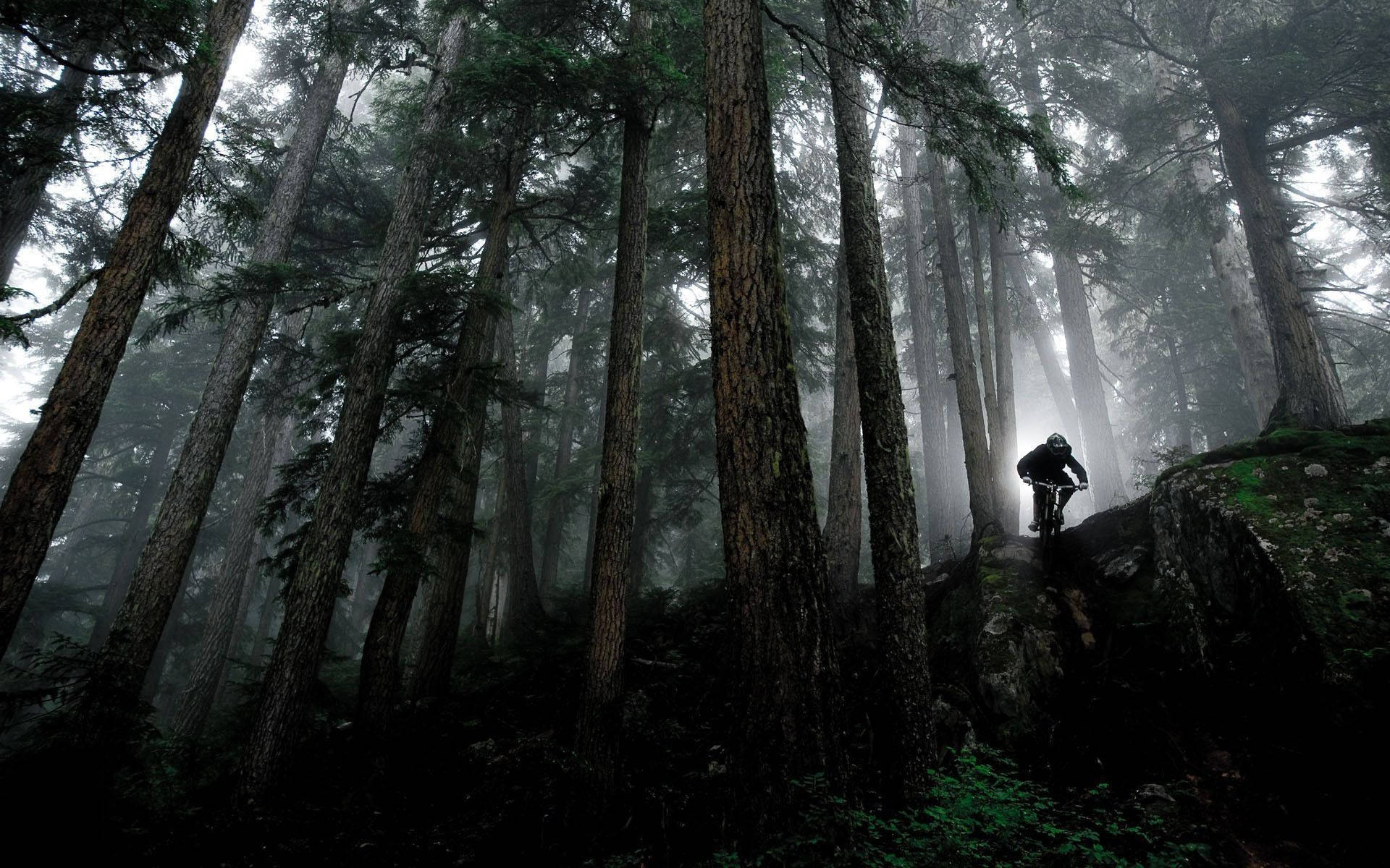 Foggy Mountain Uphill Mtb Biking Wallpaper