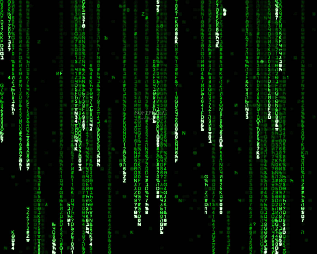 Follow The White Rabbit And Uncover The Secrets Of The Matrix Wallpaper