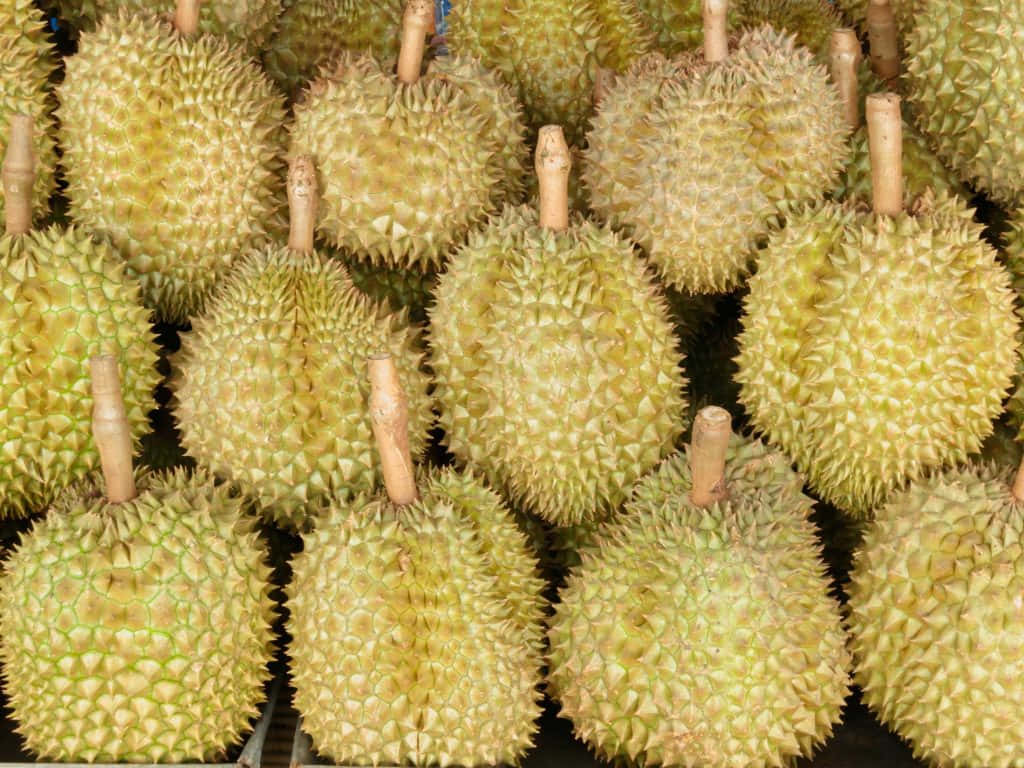 Fresh Durian Fruit Display Wallpaper