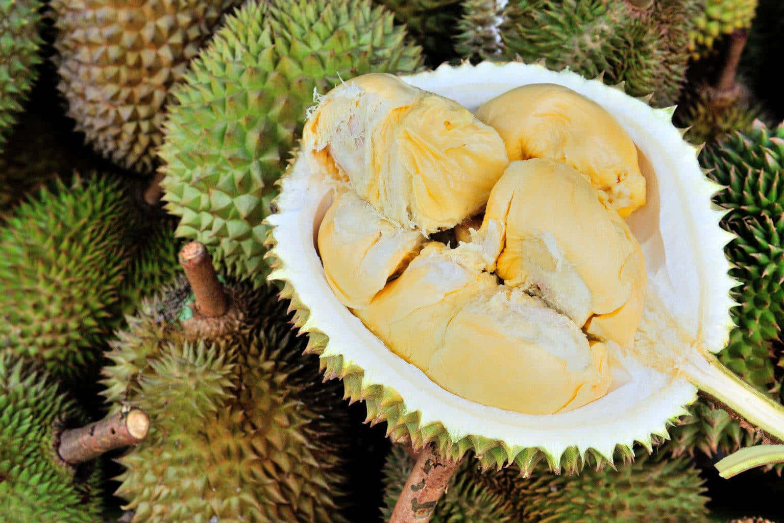 Fresh Durian Fruit Opened Wallpaper