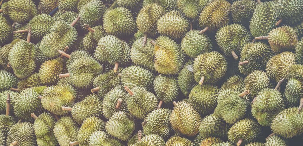 Fresh Durian Fruit Texture Background Wallpaper