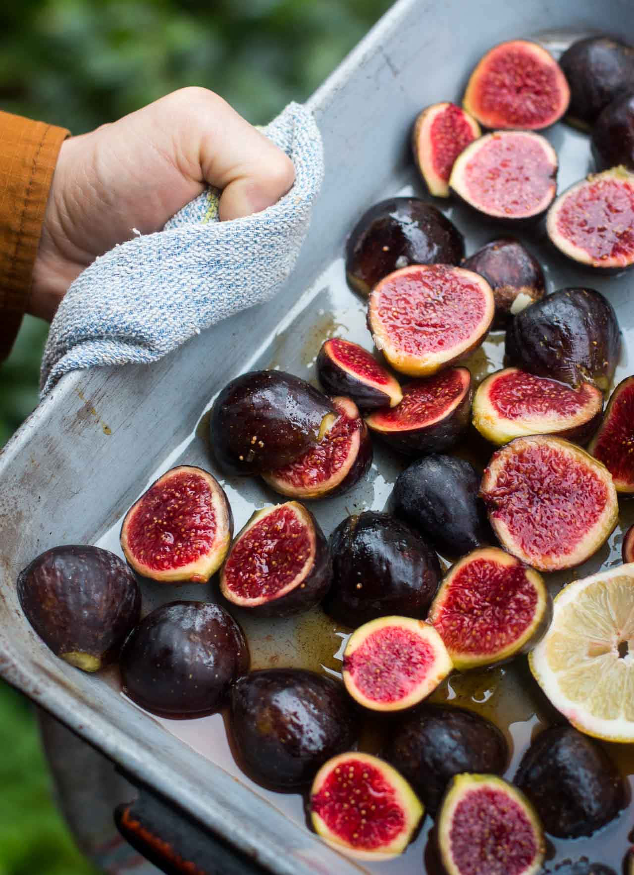 Fresh Figsand Lemonin Tray Wallpaper