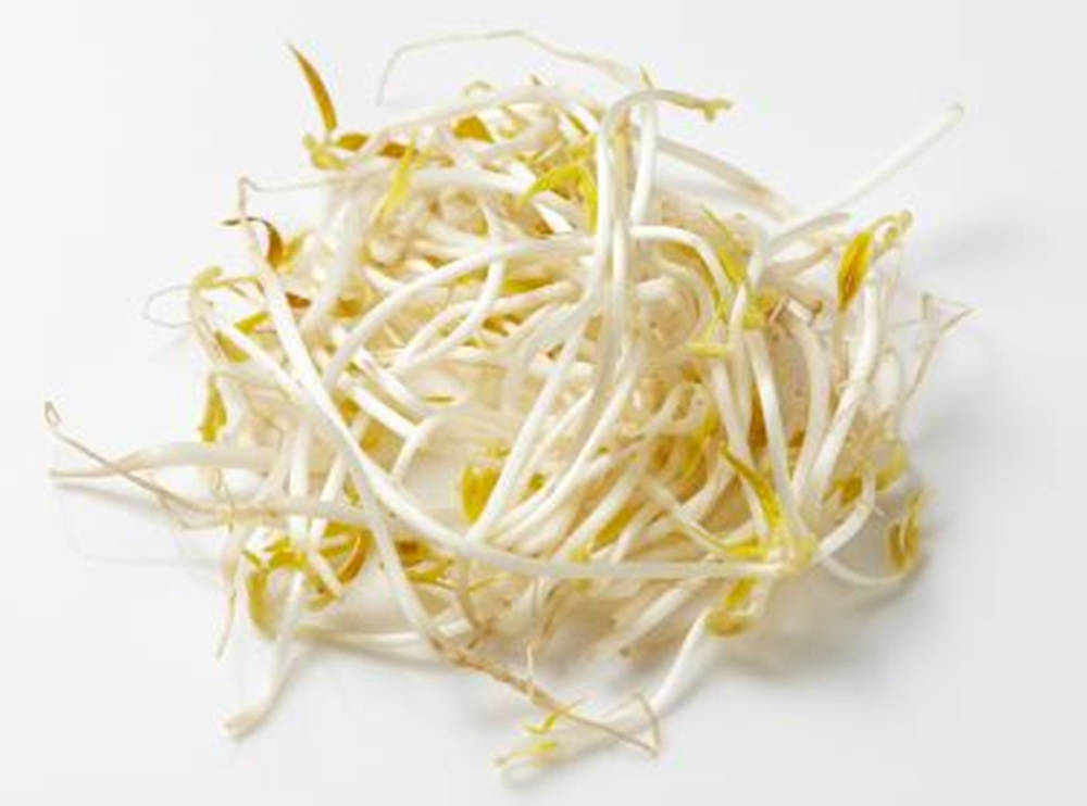 Fresh Mung Bean Sprouts Vegetable Wallpaper