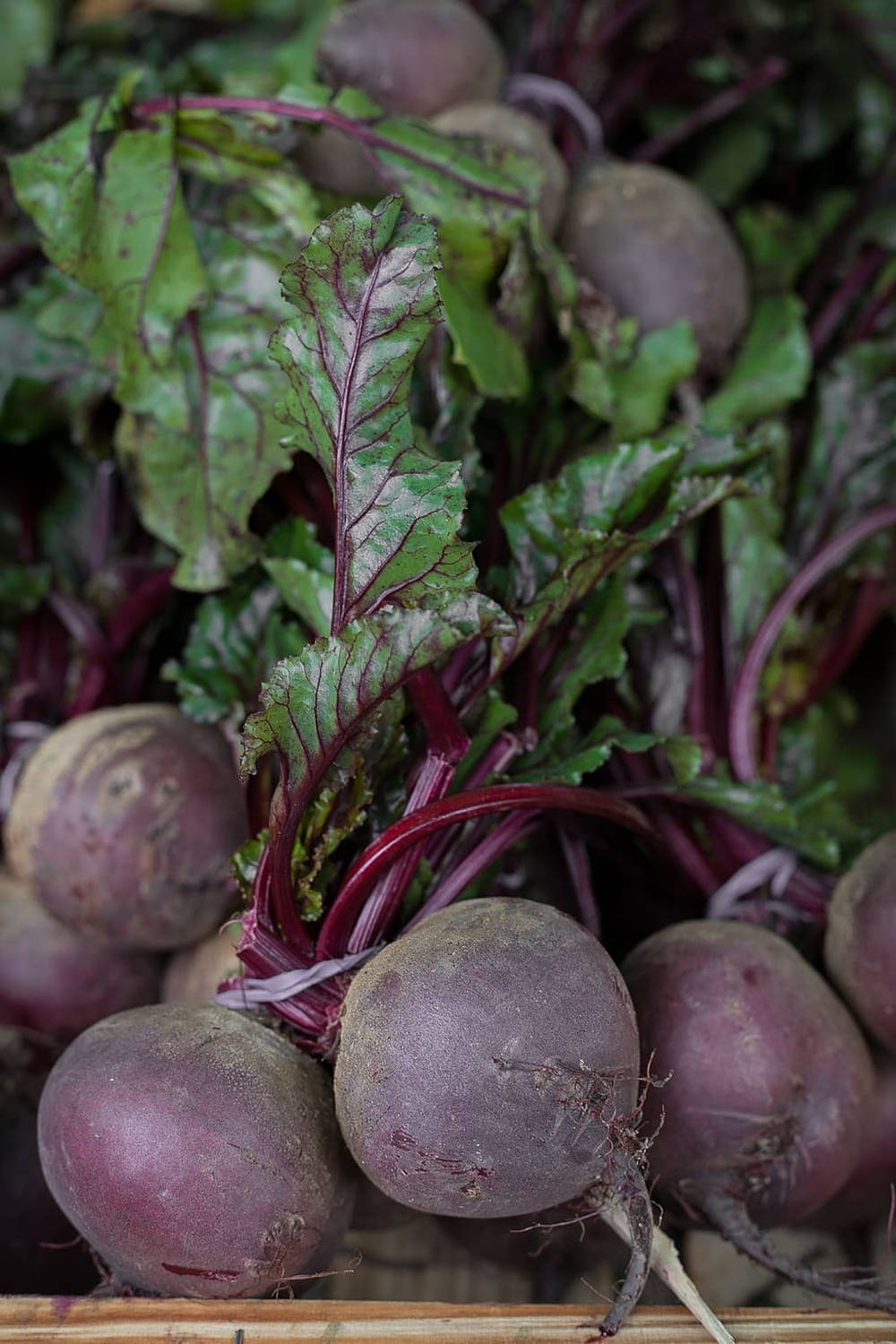 Fresh Purple Beetroot Bundle Wallpaper